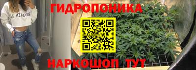 прущие крисы Конаково