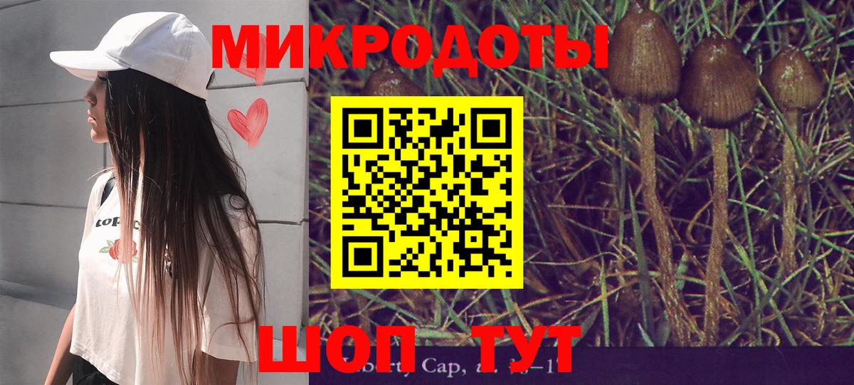 Галлюциногенные грибы Psilocybe Дальнереченск