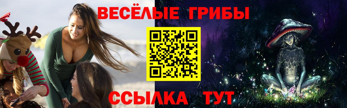 где купить   Галлюциногенные грибы GOLDEN TEACHER  Вход с VPN  Дальнереченск 