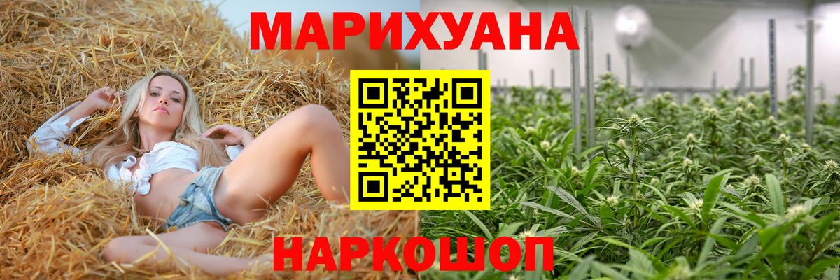 Шишки марихуана план  Канабис сатива  Дальнереченск  Вход с VPN  Каннабис SATIVA & INDICA 